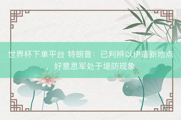 世界杯下單平臺 特朗普：已判辨以伊最新地點，好意思軍處于堤防現象